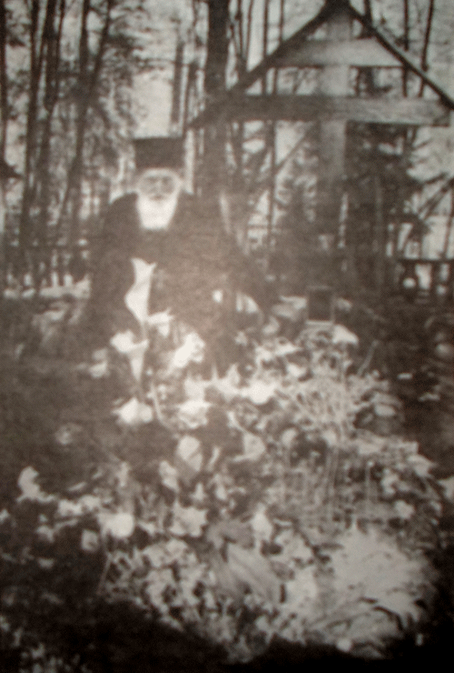Протоиерей Василий Швец у могилы старца Серафима (со слов отца Василия записаны многие из рассказов о старце, включенные в эту книгу). Фото 1998 года.